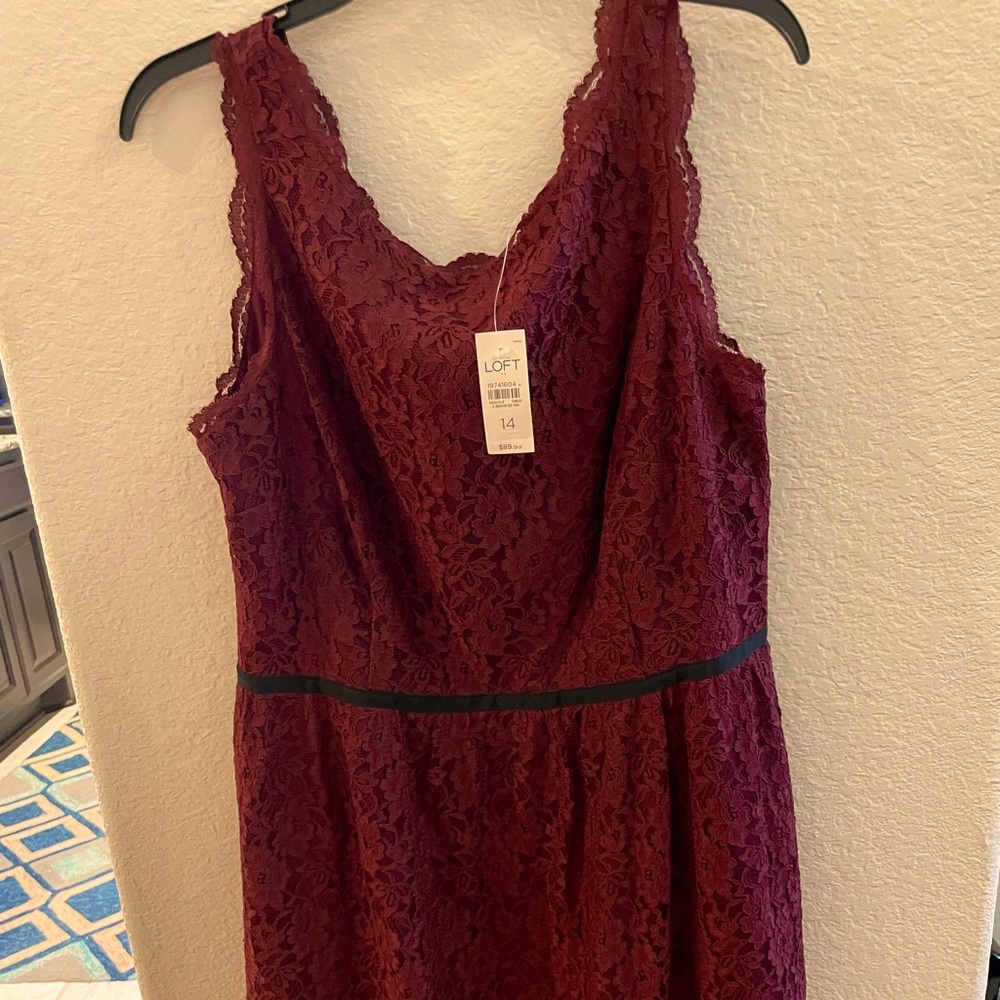 NWT Merlot Lace Dress